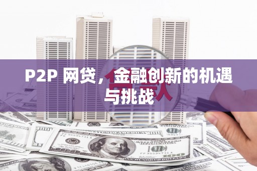 岭东P2P 网贷，金融创新的机遇与挑战