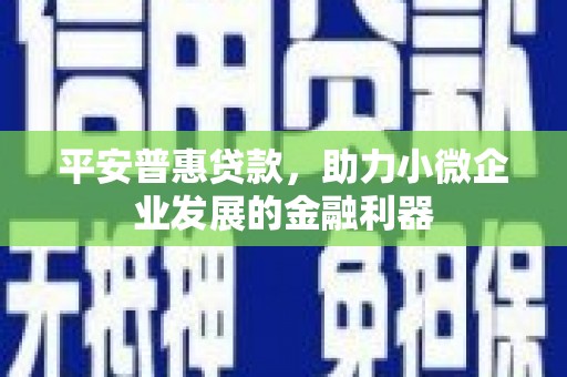 岭东平安普惠贷款，助力小微企业发展的金融利器
