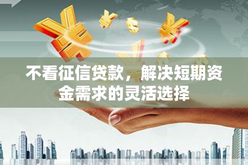 岭东不看征信贷款，解决短期资金需求的灵活选择