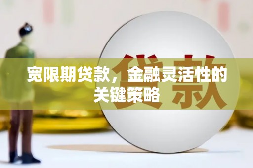 岭东宽限期贷款，金融灵活性的关键策略