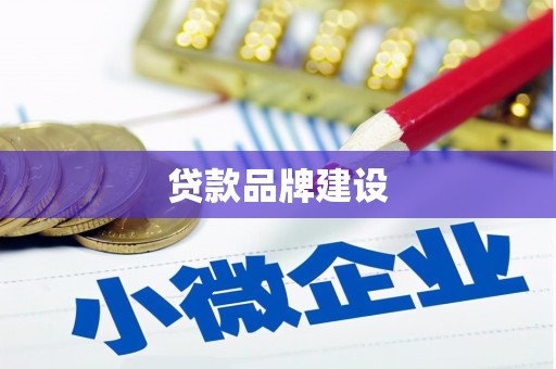 岭东贷款品牌建设