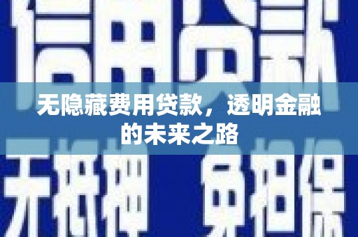 岭东无隐藏费用贷款，透明金融的未来之路