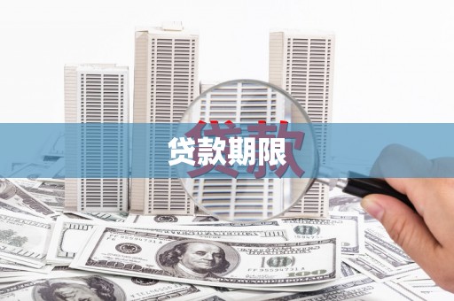 岭东贷款期限