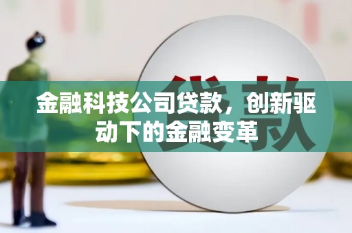 岭东金融科技公司贷款，创新驱动下的金融变革