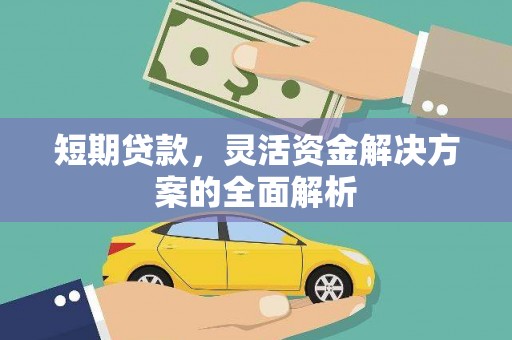 岭东短期贷款，灵活资金解决方案的全面解析