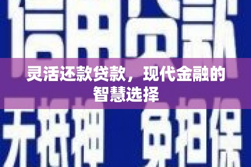岭东灵活还款贷款，现代金融的智慧选择