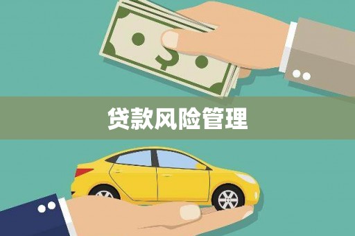 岭东贷款风险管理