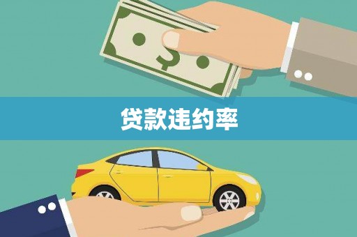 岭东贷款违约率