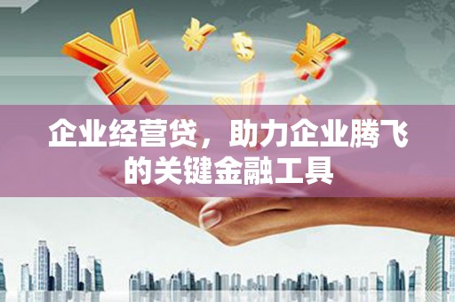 岭东企业经营贷，助力企业腾飞的关键金融工具