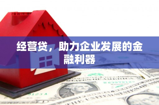 岭东经营贷，助力企业发展的金融利器