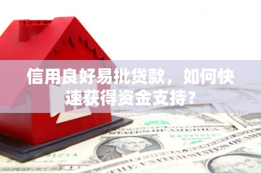 岭东信用良好易批贷款，如何快速获得资金支持？