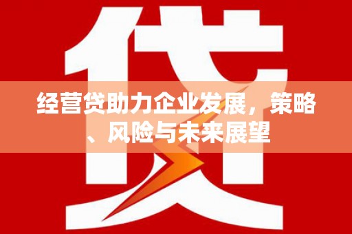 岭东经营贷助力企业发展，策略、风险与未来展望