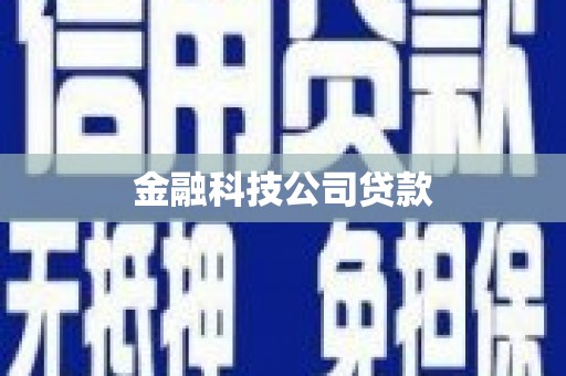 岭东金融科技公司贷款