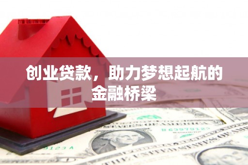 岭东创业贷款，助力梦想起航的金融桥梁