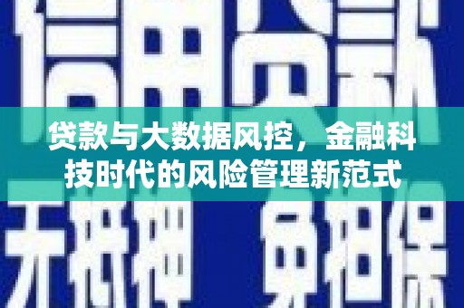 岭东贷款与大数据风控，金融科技时代的风险管理新范式