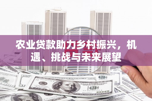 岭东农业贷款助力乡村振兴，机遇、挑战与未来展望