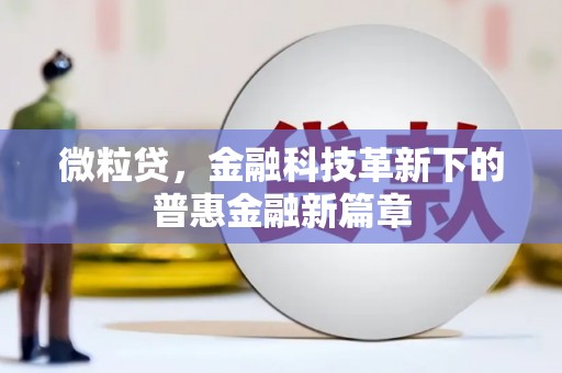 岭东微粒贷，金融科技革新下的普惠金融新篇章