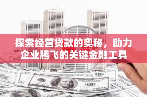 岭东探索经营贷款的奥秘，助力企业腾飞的关键金融工具