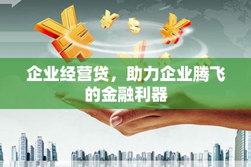 岭东企业经营贷，助力企业腾飞的金融利器