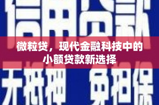 岭东微粒贷，现代金融科技中的小额贷款新选择