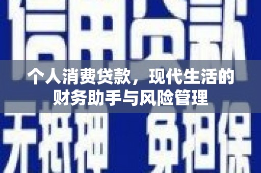 岭东个人消费贷款，现代生活的财务助手与风险管理