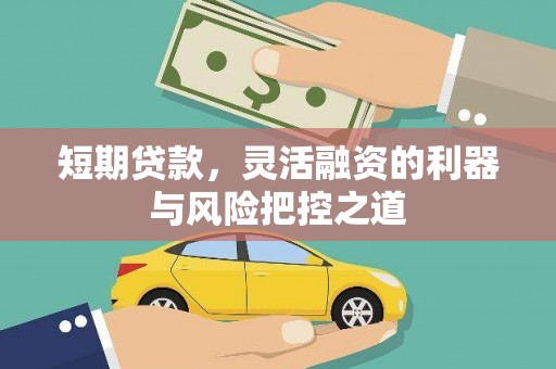 岭东短期贷款，灵活融资的利器与风险把控之道