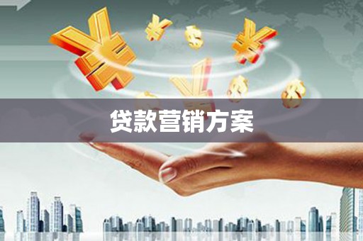岭东贷款营销方案