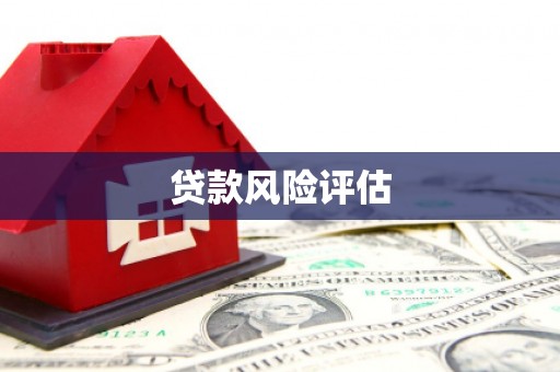 岭东贷款风险评估