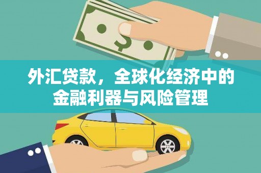岭东外汇贷款，全球化经济中的金融利器与风险管理