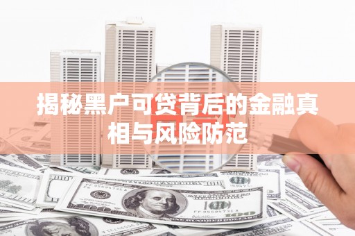 岭东揭秘黑户可贷背后的金融真相与风险防范