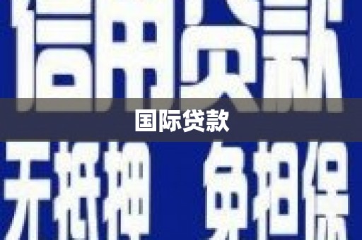 岭东国际贷款