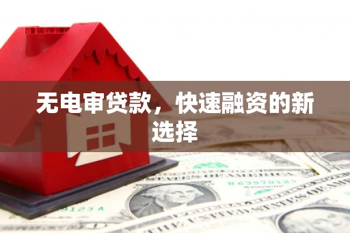 岭东无电审贷款，快速融资的新选择