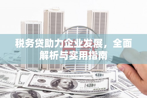 岭东税务贷助力企业发展，全面解析与实用指南