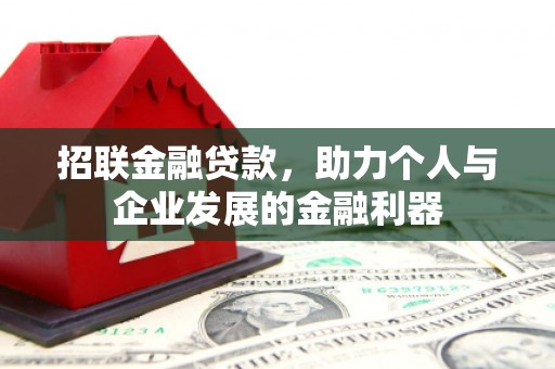 岭东招联金融贷款，助力个人与企业发展的金融利器