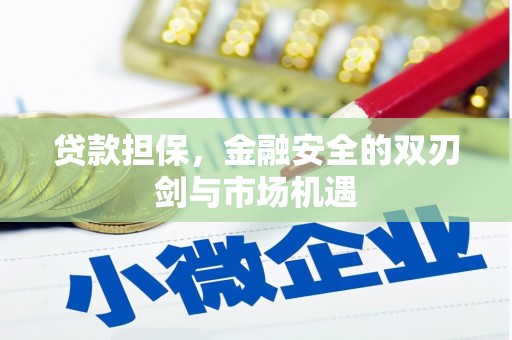 岭东贷款担保，金融安全的双刃剑与市场机遇