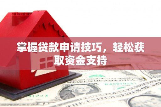 岭东掌握贷款申请技巧，轻松获取资金支持