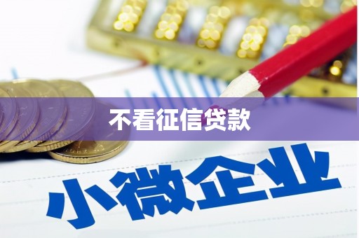 岭东不看征信贷款
