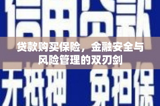 岭东贷款购买保险，金融安全与风险管理的双刃剑