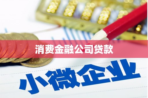 岭东消费金融公司贷款