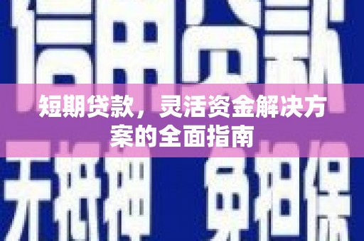 岭东短期贷款，灵活资金解决方案的全面指南