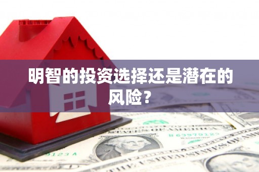岭东明智的投资选择还是潜在的风险？