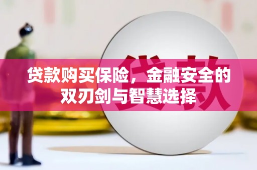 岭东贷款购买保险，金融安全的双刃剑与智慧选择