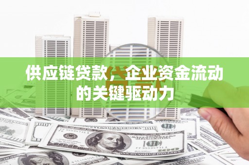 岭东供应链贷款，企业资金流动的关键驱动力