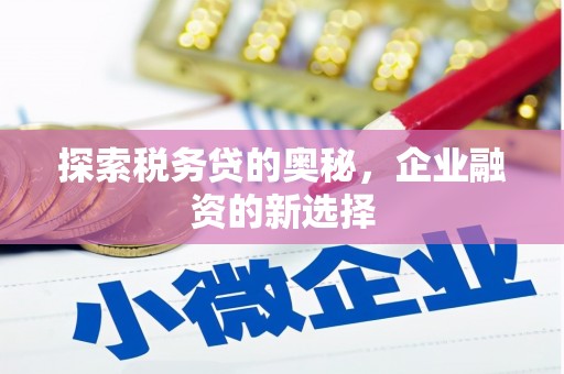 岭东探索税务贷的奥秘，企业融资的新选择