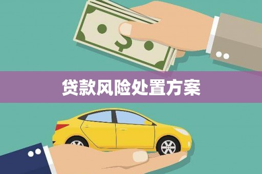 岭东贷款风险处置方案