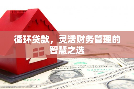岭东循环贷款，灵活财务管理的智慧之选