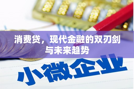 岭东消费贷，现代金融的双刃剑与未来趋势