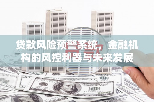 岭东贷款风险预警系统，金融机构的风控利器与未来发展