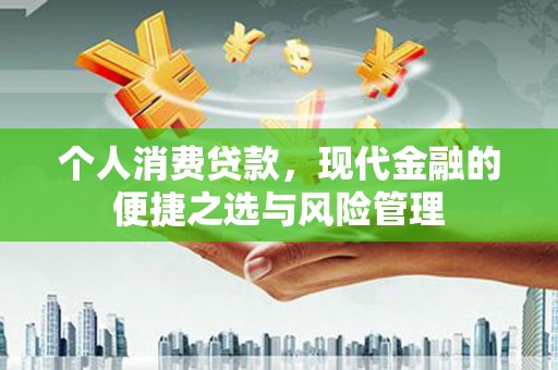 岭东个人消费贷款，现代金融的便捷之选与风险管理