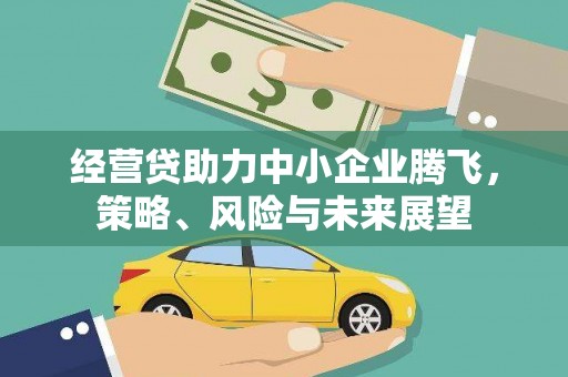 岭东经营贷助力中小企业腾飞，策略、风险与未来展望